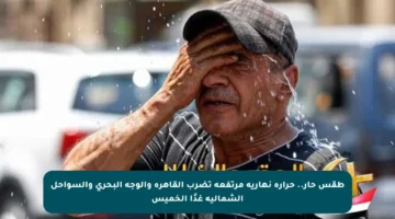 طقس حار.. حرارة نهارية مرتفعة تضرب القاهرة والوجه البحري والسواحل الشمالية غدًا الخميس